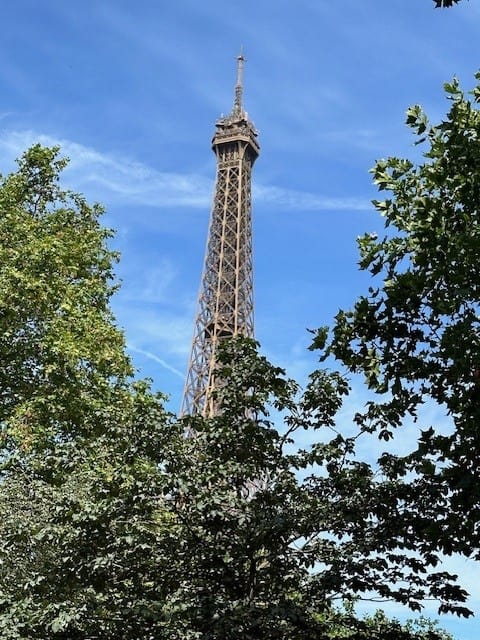 Paris Eiffel Tower through Trees