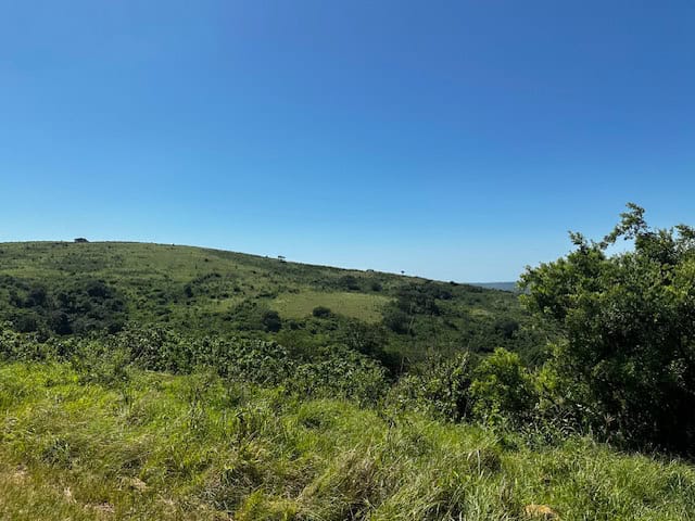 Hluhluwe-Imfolozi Park Hill View